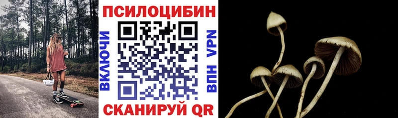 Галлюциногенные грибы мицелий  Никольск 