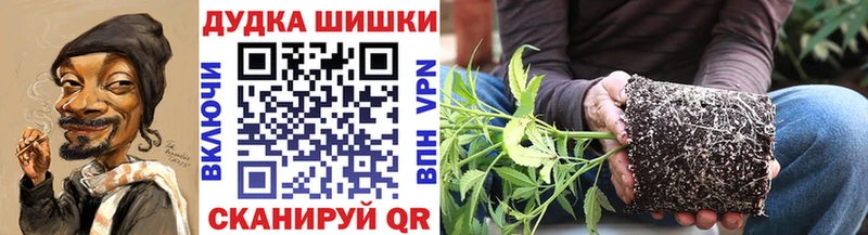Бошки марихуана гибрид  гидра вход  Никольск 